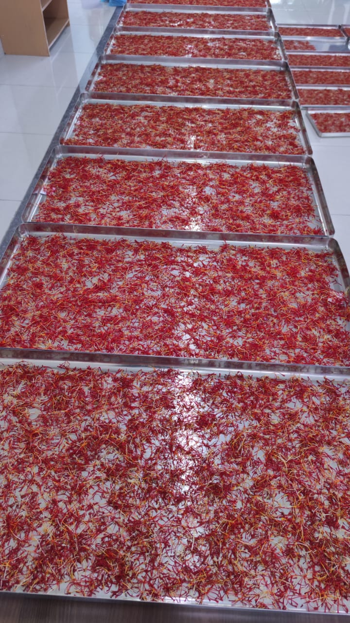 WhatsApp Image 2022-09-27 at 16.19.30 (1)